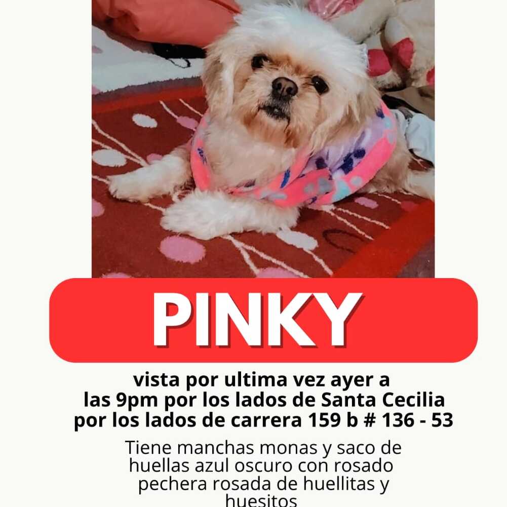 Pinky