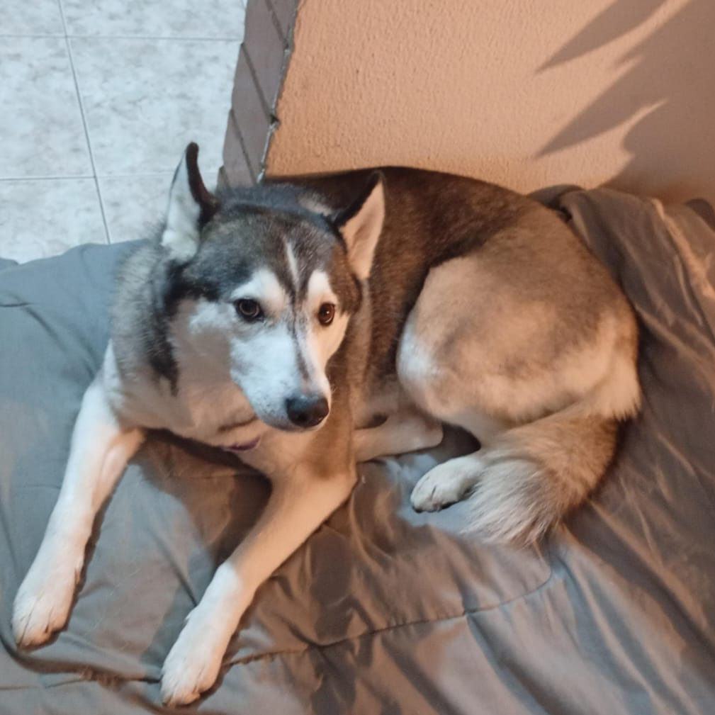 Luna 