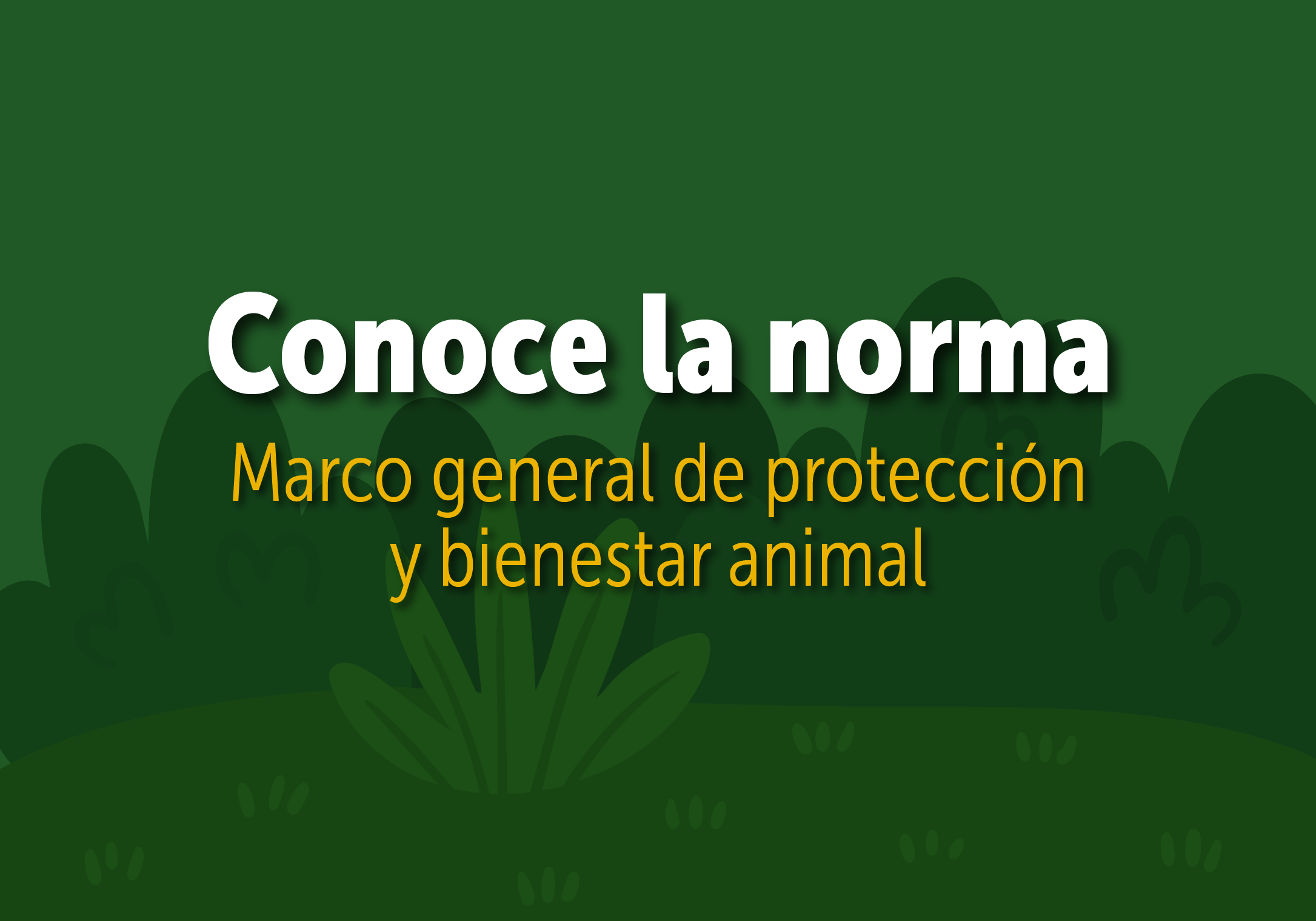 Banner Conoce la Norma - IDPYBA